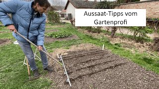 Jungpflanzen kaufen oder direkt säen 🧑‍🌾 AussaatTipps für Anfänger bis Fortgeschrittene [upl. by Awad]