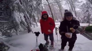 Balade en raquettes à neige Vosges Alsace [upl. by Kcirddor]