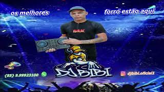 Só Forró Pesado  Forró Do Damasio  Cd Completo vol 1  Dj Bibi [upl. by Latoya506]