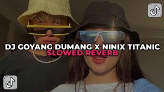 DJ GOYANG DUMANG X NINIX TITANIC  DJ MELODY GOYANG DUMANG YANG KALIAN CARI CARI [upl. by Bonina]