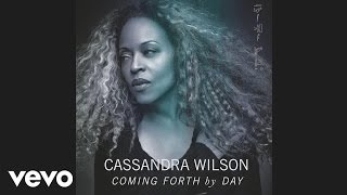 Cassandra Wilson  What a Little Moonlight Can Do Audio [upl. by Rendrag134]