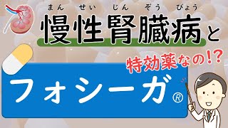 慢性腎臓病の治療薬フォシーガについて考える【腎臓内科医が解説】 [upl. by Anifur680]