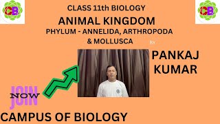 PHYLUM  ANNELIDA ARTHROPODA amp MOLLUSCA  ANIMAL KINDOM  CLASS 11th BIOLOGY  CBSE  NCERT [upl. by Rondon603]