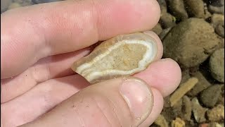 Episode 3  Geologist goes Rockhounding for Agates in Washington State [upl. by Olwena]