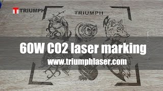 60W co2 laser marking machine on wood [upl. by Rech]