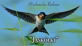 Jaskółki  Joanna Chmielewska  Słuchowisko radiowe [upl. by Daukas]