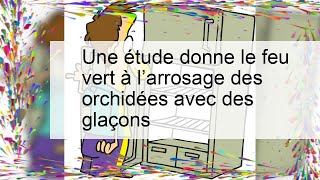 Une étude donne le feu vert à l’arrosage des orchidées avec des glaçons [upl. by Shoemaker]