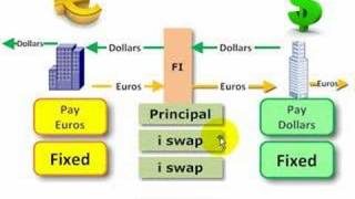 FRM Currency swap [upl. by Niatsirhc]