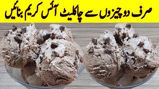 Chocolate Ice Cream Recipe I Only 2 Ingredient Special Homemade Chocolate Ice Cream Recipe [upl. by Affer757]