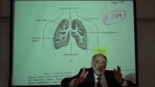 RESPIRATORY PHYSIOLOGY PLEURAL MEMBRANES INTRAPLEURAL PRESSURE amp VALSALVA MANEUVER by Professor F [upl. by Hallette]