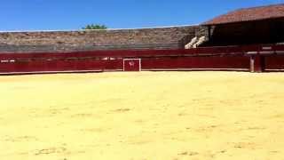 Candelario Bejar Salamanca la plaza de toros de El Castañarquot es la más antigua del mundo [upl. by Barabbas570]