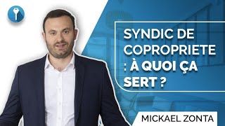 SYNDIC de COPROPRIETE  à quoi ÇA SERT [upl. by Nalehp]