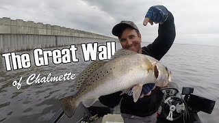 Catching Speckled Trout at The Great Wall of Chalmette [upl. by Kimbell345]