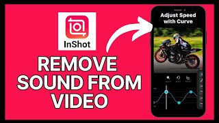 How to Remove Sound from InShot Video 2024 [upl. by Drugge]