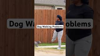 Dog Walking Problems [upl. by Flatto]