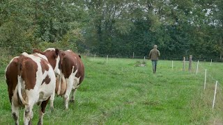 1 JOUR A LA FERME avec un éleveur laitier [upl. by Lletnom]