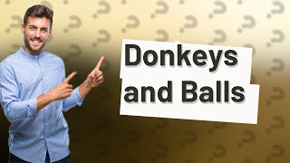 Do donkeys like to play with balls [upl. by Eirolam]