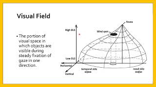 Central Visual Field Techniques of evaluation [upl. by Molloy]