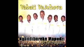 Vabati VaJehova Zvishuwo Zvemoyo Official Audio 2018 [upl. by Clo764]