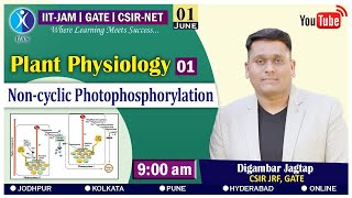 Lecture 01 Plant Physiology Non Cyclic Photophosphorylation [upl. by Anairo]