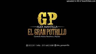 Los Mandados alex mantilla el gran potrillo [upl. by Gelhar255]