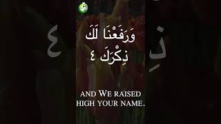 Surah AshSharh سورة الشرح  Beautiful Quran Recitation quran shorts islam islamicstatus surah [upl. by Mei]