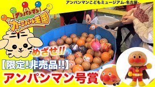 【アンパンマンミュージアム限定】釣りゲームであそんだら非売品アンパンマン号賞が当たったよ【カーニバル王国】 [upl. by Zusman]