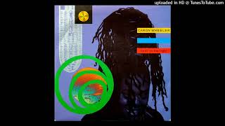 Caron Wheeler  Livin In The Light Brixton Bass Mix 1990 [upl. by Spevek128]