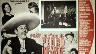 PEDRO INFANTE  EL GAVILAN POLLERO [upl. by Kimmel421]