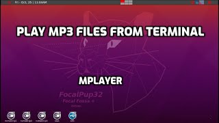 play mp3 files from puppy terminal mplayer setup [upl. by Ecilahs]