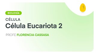 Célula eucariota 2  Biología  Célula  V3  Egg Educación [upl. by Berkly261]