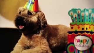 Josh Groban  Sweeney Birthday Video Extras [upl. by Aniretak]