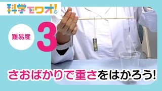 【自由研究】科学実験！さおばかりで重さをはかろう！【科学でワオ！365】 [upl. by Ecinnaj]