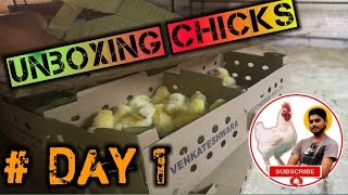 🐤Unboxing Day Old Chicks 🐤Vencobb Chicks  Day Old Chicks 🤫Abhishek Singh Training Video [upl. by Seroled]