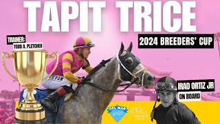 Tapit Trice 2024 Breeders Cup Preview [upl. by Ailgna142]