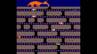 Arcade Game Anteater 1982 Stern Tago license [upl. by Aisirtap]