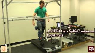 Introducing AMPRO Translating Robotic Locomotion to Powered Transfemoral Prosthesis [upl. by Eiclehc]