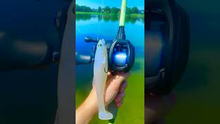 Magdraft  SLX DC  this subscribe for more fishing content bassfishing fishing fish [upl. by Spielman]