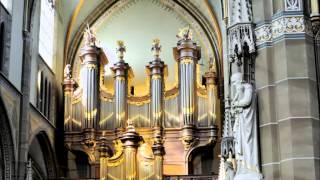 Heinrich Scheidemann  Echo Toccata [upl. by Eahcim]