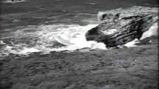 The Monster of Piedras Blancas 1959 [upl. by Arianne55]