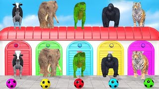 Cow Elephant Tiger Gorilla TRex 3d Animal Long Slide Game Funny 3d Paint Animals Cage Game [upl. by Asillem]