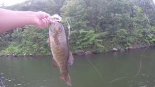 Bass Fishing on Greenwood Lake NYNJ [upl. by Yleve]