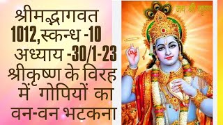 1012 श्री मद्भागवत 1030123 श्रीकृष्ण के विरहमें गोपियों का वनवन भटकना Subscribe [upl. by Neelyahs]