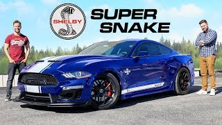 2020 Shelby Super Snake Review  800 Horsepower GT500 Killer [upl. by Notla]