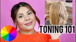 HOW TO TONE HAIR THE RIGHT WAY  PRO HAIRDRESSER TIPS [upl. by Alisander]