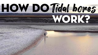 How do Tidal Bores Work [upl. by Lennie]