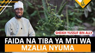 IJUE FAIDA NA TIBA YA MTI WA MZALIA NYUMA SHEIKH YUSSUF BIN ALLY [upl. by Ingar]