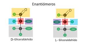 Carbohidratos  Enantiómeros y epímeros  Configuración D y L [upl. by Brottman]