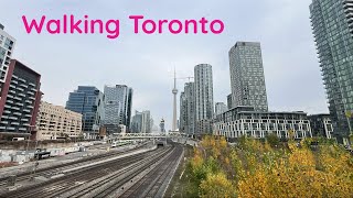 Walking From the CN Tower to BathurstAdelaide in Downtown Toronto 10232024 [upl. by Mailliwnhoj]