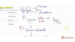 Pyruvic acid is a product of [upl. by Hgielrebma76]